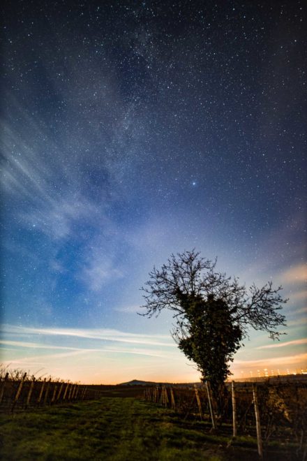 Milchstra&szlig;e und Sternenhimmel im Winter fotografiert