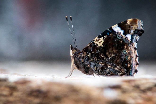 Welches Objektiv f&uuml;r was? Diese Objektive passen zu dir und deiner Fotografie 24
