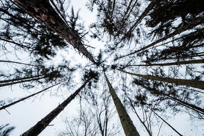 14mm_f2.8_af_samyang_december-4