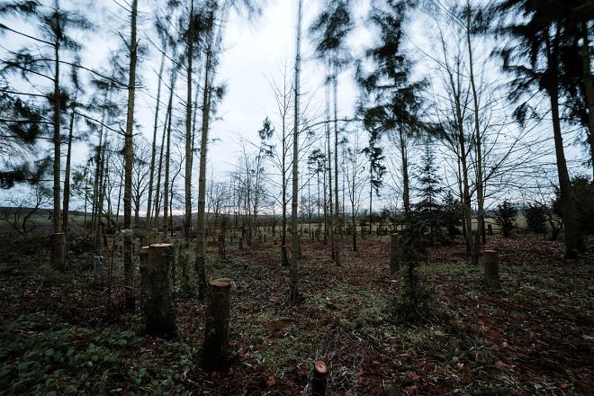 Auch hier war ordentlich Sturm