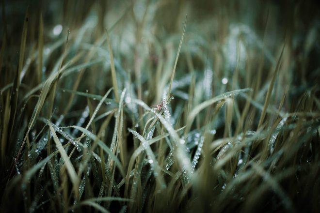 Herbst fotografieren: 10 Ideen für stimmungsvolle Herbstfotos 11