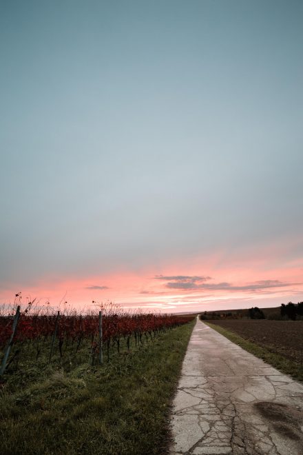 Samyang AF 2,8 14 mm EF Sonnenuntergang