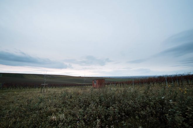 Samyang AF 2,8/14 mm EF, auf dem Dolgesheimer Land , 6D Mark I