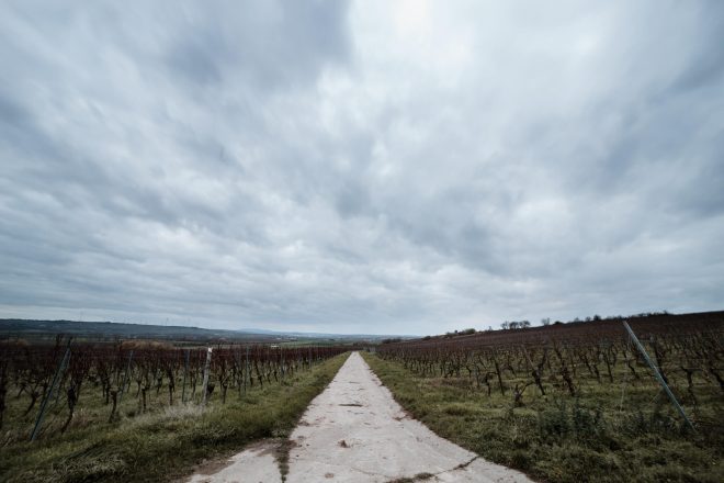 Samyang AF 2,8/14 mm EF, Feldweg , 6D Mark I
