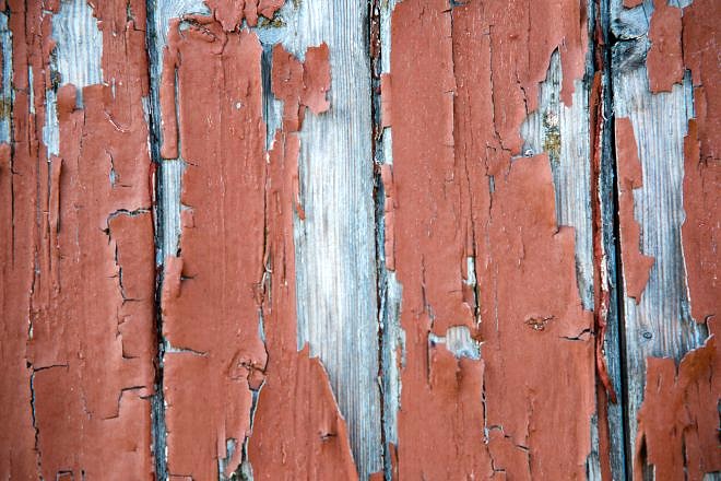 Review: Samyang AF 85mm 1.4 EF f&uuml;r Canon 15