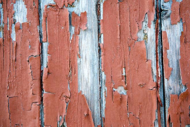 Review: Samyang AF 85mm 1.4 EF f&uuml;r Canon 16