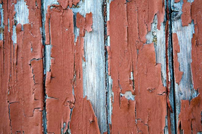 Review: Samyang AF 85mm 1.4 EF f&uuml;r Canon 19