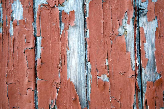 Review: Samyang AF 85mm 1.4 EF f&uuml;r Canon 20