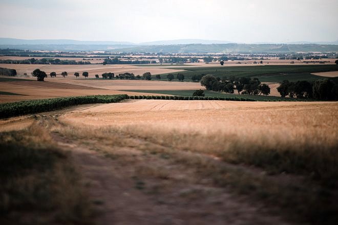 Review: Samyang AF 85mm 1.4 EF f&uuml;r Canon 25