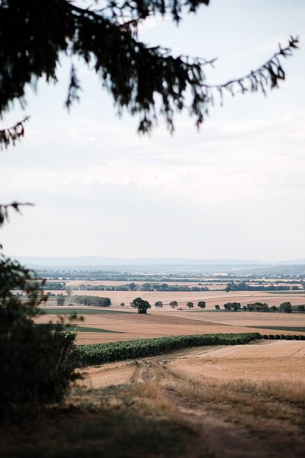 Review: Samyang AF 85mm 1.4 EF f&uuml;r Canon 26