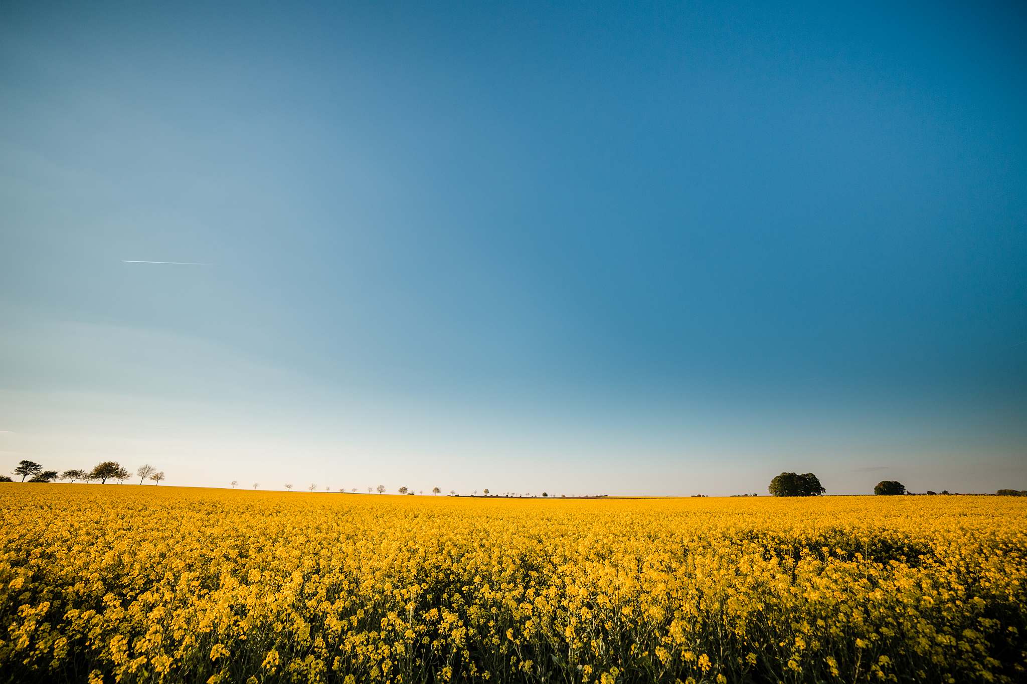 Landschaftsfotografie lernen: Horizontlinie ist im unteren Drittel platziert