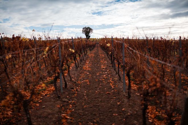Einstellungen Landschaftsfotografie