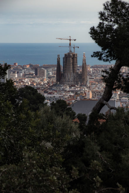 Fotografieren lernen - Grundlagen der Fotografie für Anfänger 21