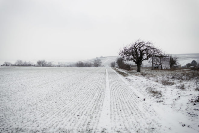 Canon RF-Adapter im Test: EF Adapter f&uuml;r EOS R5, R6, R7, RP, R10 33