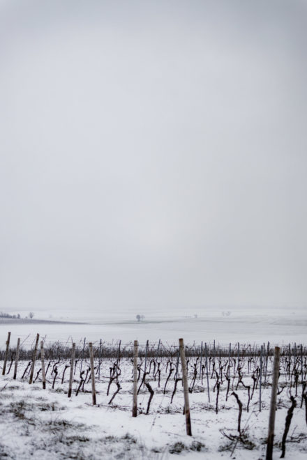 Canon RF-Adapter im Test: EF Adapter f&uuml;r EOS R5, R6, R7, RP, R10 42