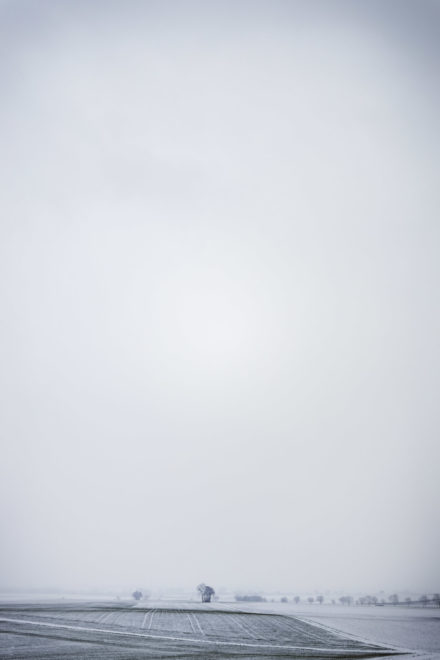 Canon RF-Adapter im Test: EF Adapter f&uuml;r EOS R5, R6, R7, RP, R10 43