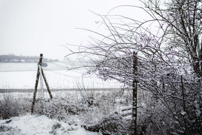 Canon RF-Adapter im Test: EF Adapter f&uuml;r EOS R5, R6, R7, RP, R10 45