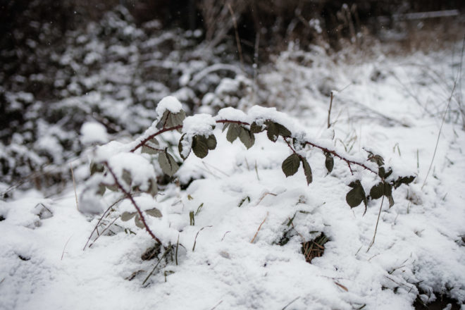 Canon RF-Adapter im Test: EF Adapter f&uuml;r EOS R5, R6, R7, RP, R10 46