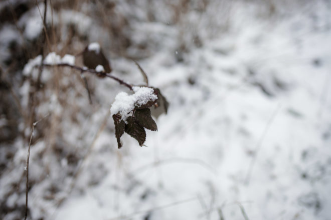 Canon RF-Adapter im Test: EF Adapter f&uuml;r EOS R5, R6, R7, RP, R10 47