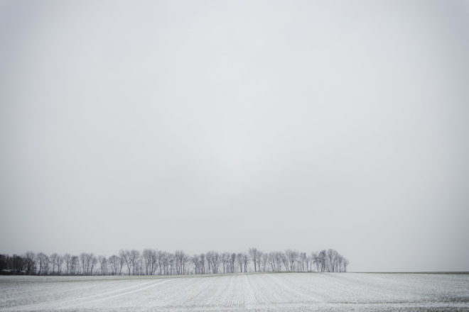 Canon RF-Adapter im Test: EF Adapter f&uuml;r EOS R5, R6, R7, RP, R10 34