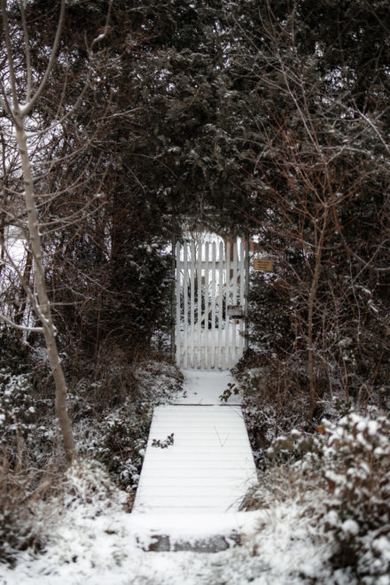 Canon RF-Adapter im Test: EF Adapter f&uuml;r EOS R5, R6, R7, RP, R10 48