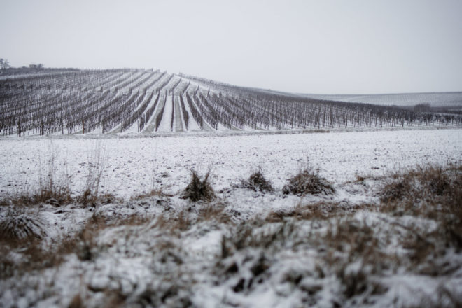 Canon RF-Adapter im Test: EF Adapter f&uuml;r EOS R5, R6, R7, RP, R10 49