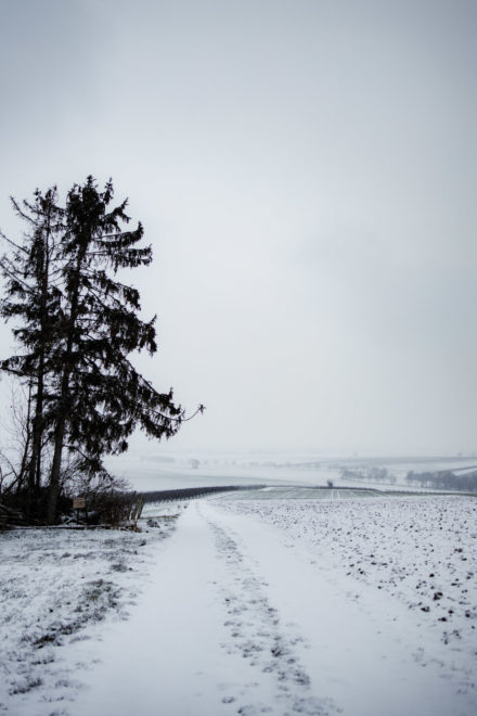 Canon RF-Adapter im Test: EF Adapter f&uuml;r EOS R5, R6, R7, RP, R10 37