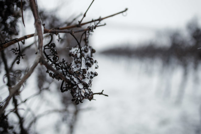 Canon RF-Adapter im Test: EF Adapter f&uuml;r EOS R5, R6, R7, RP, R10 39