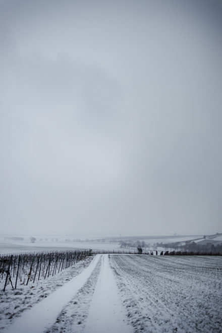 Canon RF-Adapter im Test: EF Adapter f&uuml;r EOS R5, R6, R7, RP, R10 40