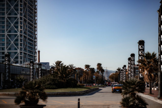 50mm Objektiv - beste Modelle, Einsatzgebiete, Vorteile & Schw&auml;chen der Normalbrennweite 14