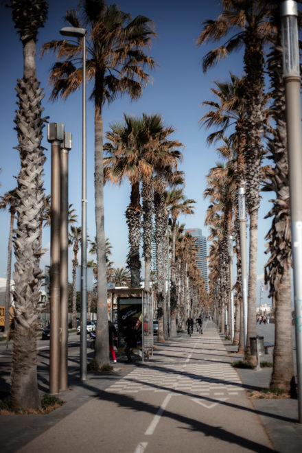 50mm Objektiv - beste Modelle, Einsatzgebiete, Vorteile & Schw&auml;chen der Normalbrennweite 22