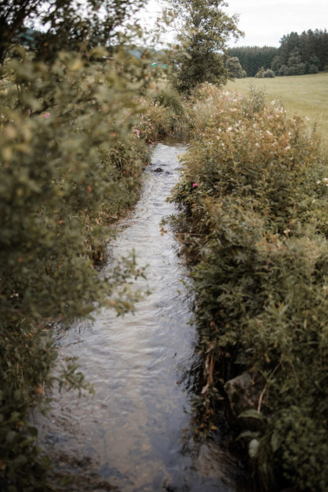 Canon EOS RP Test: Review, Erfahrungen und Testfotos 17