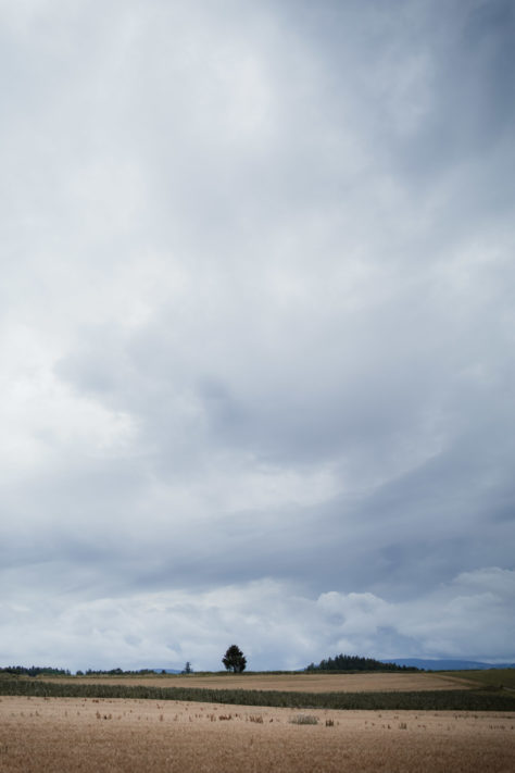 Canon EOS RP Test: Review, Erfahrungen und Testfotos 21