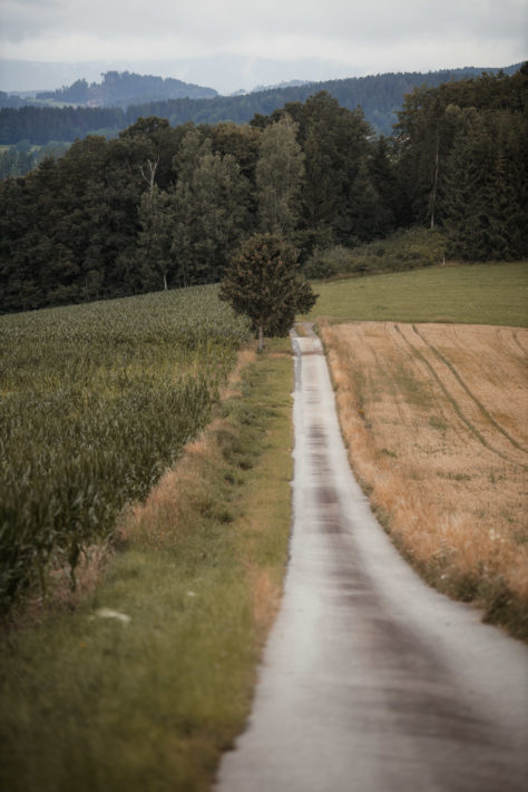 Canon EOS RP Test: Review, Erfahrungen und Testfotos 24