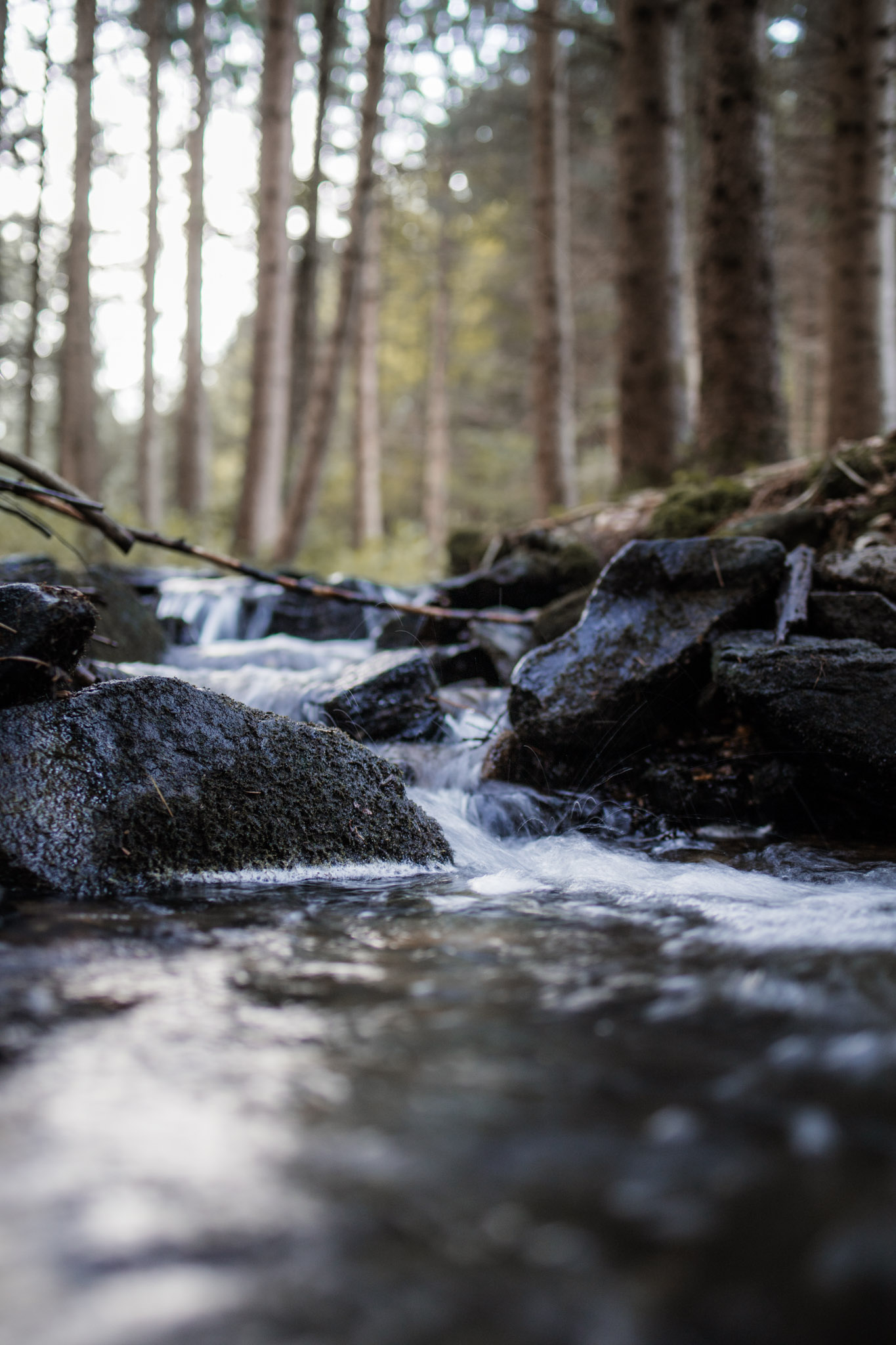 Belichtungszeit verstehen und kreativ nutzen - Grundlagen für Anfänger - canon eos rp testbilder 2