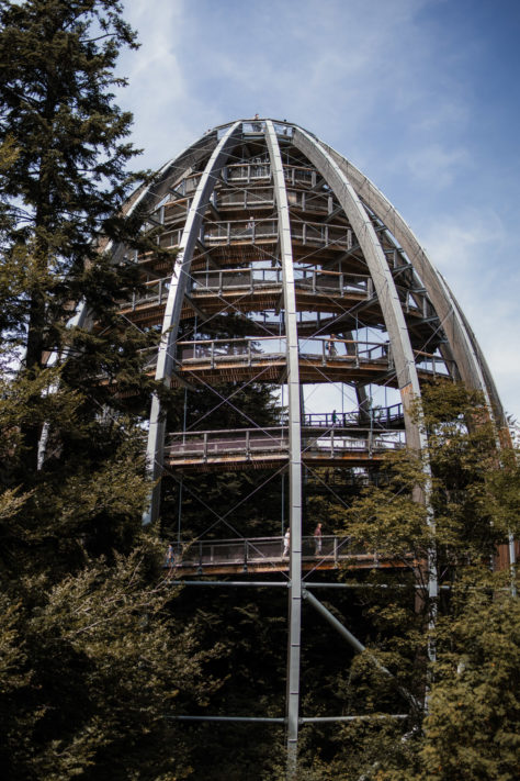 Canon EOS RP Test: Review, Erfahrungen und Testfotos 15