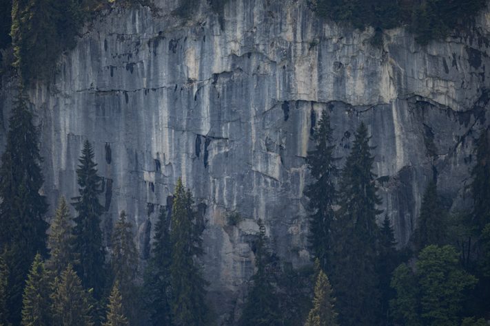 Canon RF 800mm F11 IS STM Test: Review / Testbericht für Canons RF Einsteiger Superteleobjektiv 40