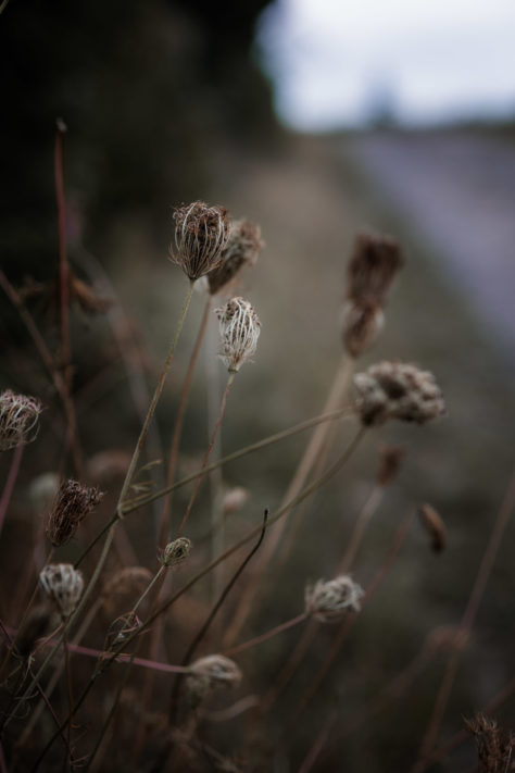 Canon RF 85mm 2.0 IS STM Test: Review / Testbericht f&uuml;r Canons RF Einsteiger Portraitobjektiv 11