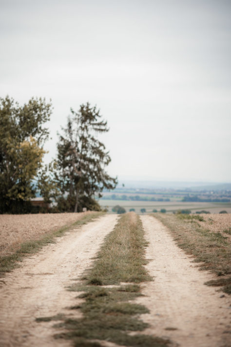 Canon RF 85mm 2.0 IS STM Test: Review / Testbericht f&uuml;r Canons RF Einsteiger Portraitobjektiv 24
