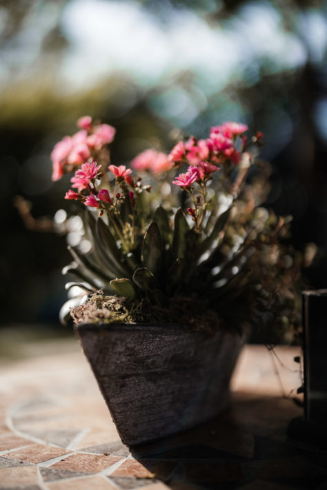 Canon RF 50mm 1.2 L USM Test: Review / Testbericht mit Beispielfotos 45