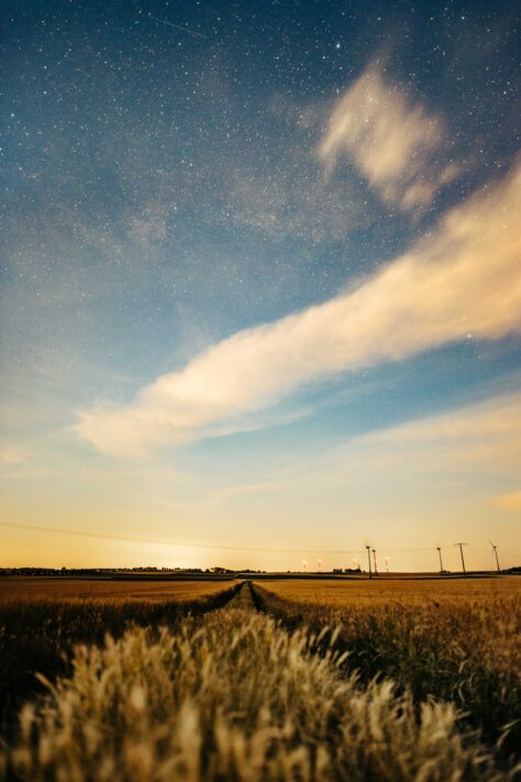 Canon EOS R5 oder Canon EOS R5 Mark II? Welche Kamera ist die bessere Wahl? 7