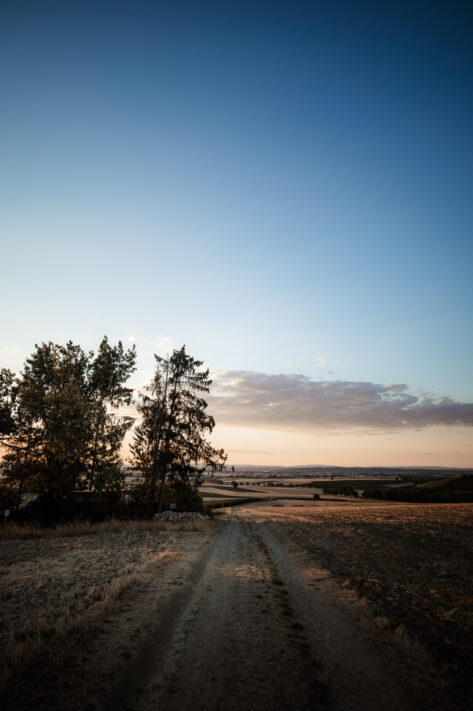 Sigma 20mm 1.4 DG DN Art Test - Das perfekte Milchstra&szlig;enobjektiv: Review mit vielen Testfotos 21