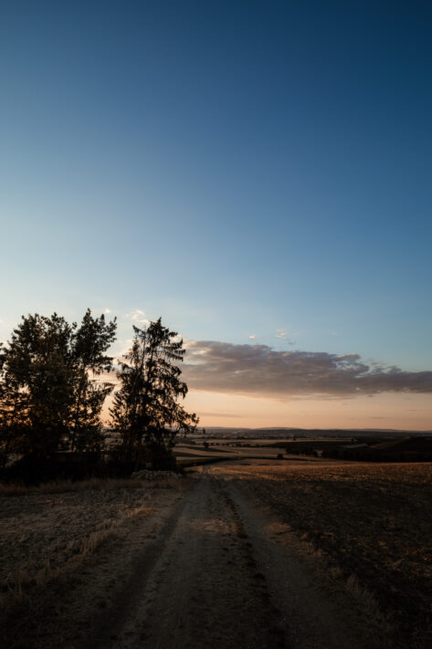 Sigma 20mm 1.4 DG DN Art Test - Das perfekte Milchstra&szlig;enobjektiv: Review mit vielen Testfotos 20