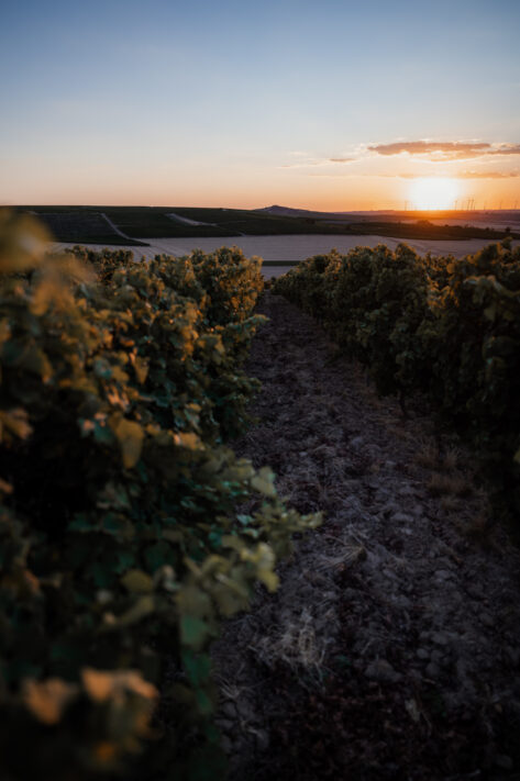 Sigma 20mm 1.4 DG DN Art Test - Das perfekte Milchstra&szlig;enobjektiv: Review mit vielen Testfotos 14