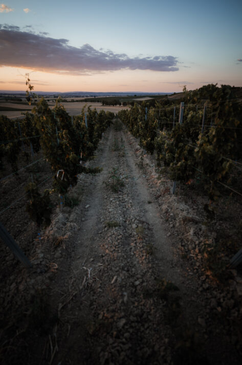 Sigma 20mm 1.4 DG DN Art Test - Das perfekte Milchstra&szlig;enobjektiv: Review mit vielen Testfotos 16