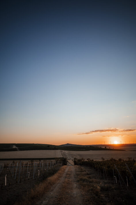 Sigma 20mm 1.4 DG DN Art Test - Das perfekte Milchstra&szlig;enobjektiv: Review mit vielen Testfotos 19