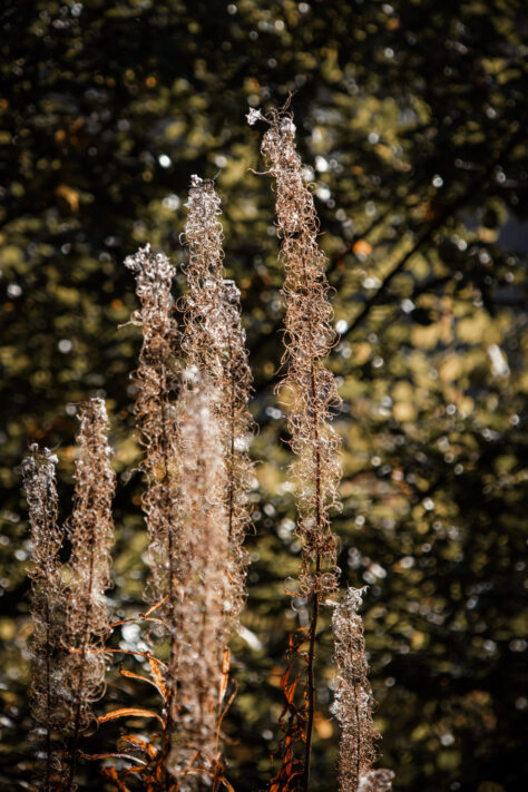 Canon EOS R10 Test - Review, Testbericht, Erfahrungen & Testbilder 18