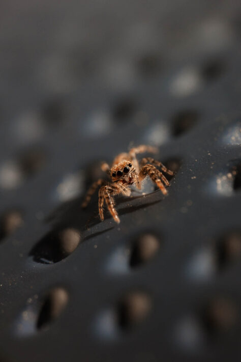 Fotografieren lernen - Grundlagen der Fotografie für Anfänger 30