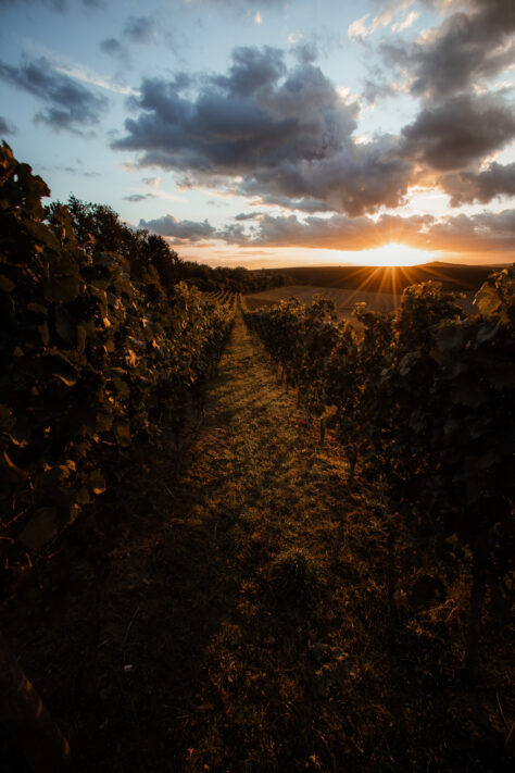 Sonnensterne fotografieren - Anleitung und Einstellungen 6