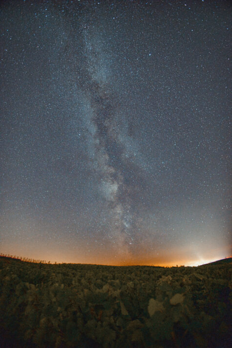 Canon RF 16mm 2.8 STM Test - Erfahrungen und Testbericht: Review des kleinen Ultraweitwinkel-Objektivs f&uuml;r das R-System 13